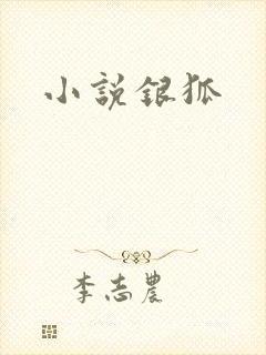 小说银狐