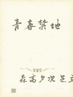 青春禁地封面