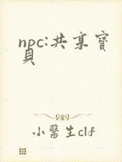 npc:共享宝贝封面
