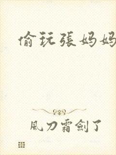 偷玩张妈妈
