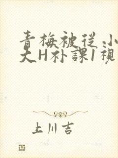 青梅被从小摸到大H补课1视频