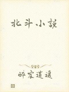 北斗小说