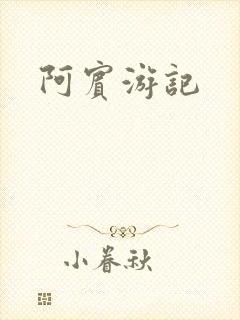 阿宾游记