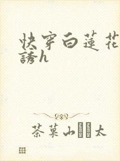 快穿白莲花的引诱h