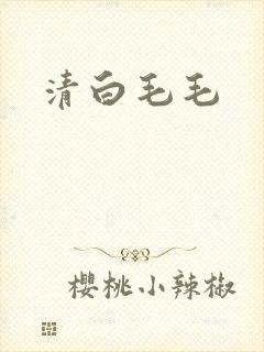 清白毛毛