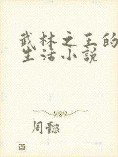 武林之王的退隐生活小说封面