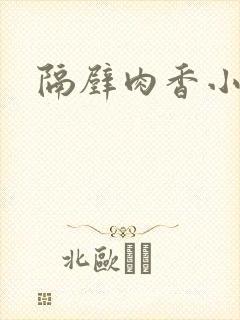 隔壁肉香小说