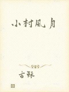 小村风月封面