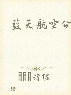 蓝天航空公司封面