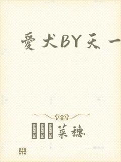 爱犬BY天一