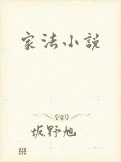 家法小说
