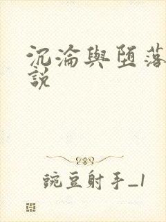 沉沦与堕落的小说