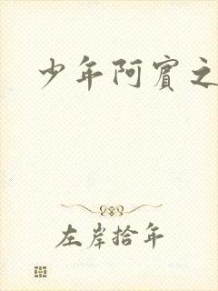 少年阿宾之学姐