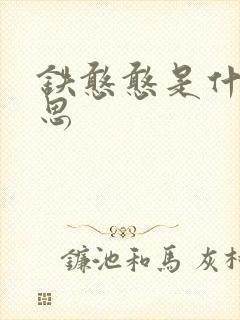 铁憨憨是什么意思