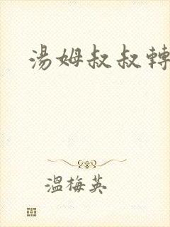 汤姆叔叔转接口