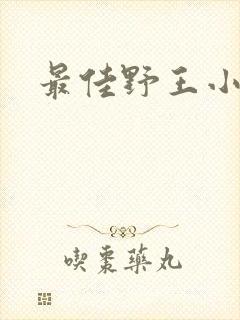 最佳野王小说封面