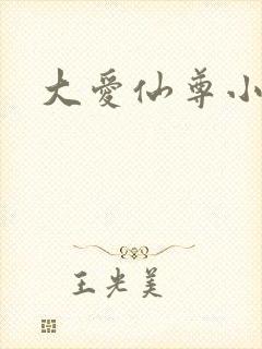 大爱仙尊小说封面