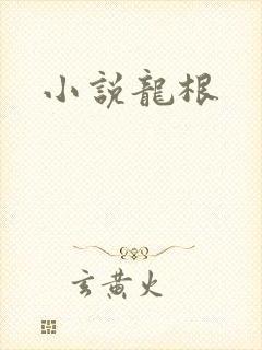 小说龙根