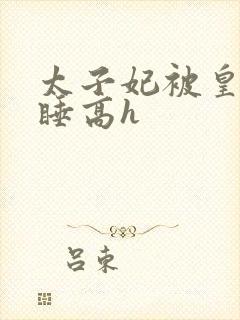 太子妃被皇上强睡高h封面