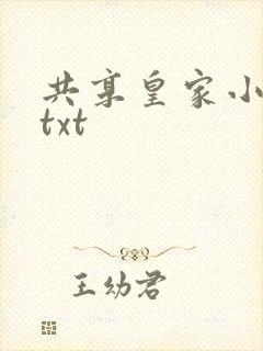 共享皇家小公主txt封面