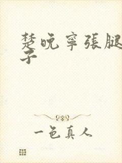 楚晚宁张腿放棋子封面