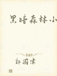 黑暗森林小说