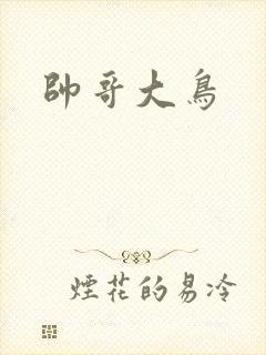 帅哥大鸟