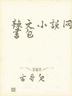 辣文小说网第二书包