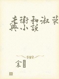 老卫和淑荣的经典小说