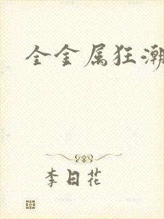 全金属狂潮小说