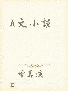 h文小说