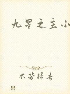 九星之主小说