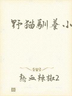 野猫驯养小说