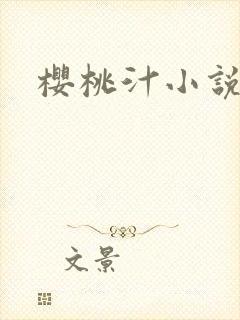 樱桃汁小说