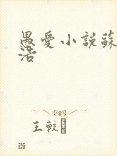 愚爱小说苏倩孙浩