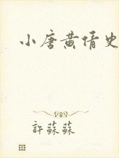 小唐黄倩史封面