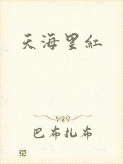 天海里红封面