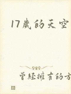 17岁的天空
