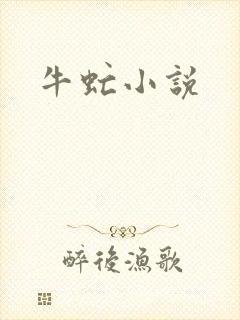 牛虻小说