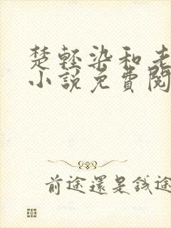 楚轻染和老周的小说免费阅读封面