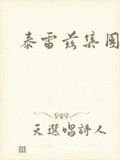 泰雷兹集团封面