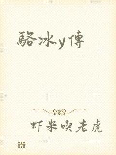 骆冰y传封面
