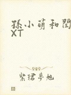 孙小萌和闫辰TXT封面