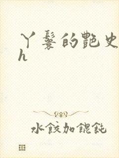 丫鬟的艳史nph封面