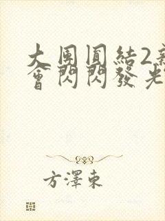 大团圆结2亲情会闪闪发光亲情会2