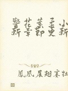 警花叶柔小说最新章节更新