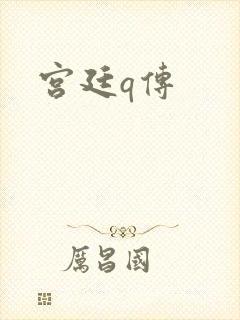 宫廷q传