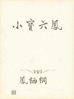 小宝六凤
