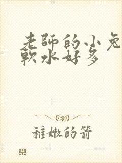老师的小兔子好软水好多