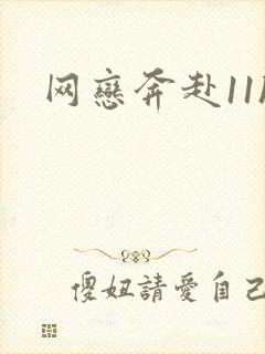 网恋奔赴11h封面